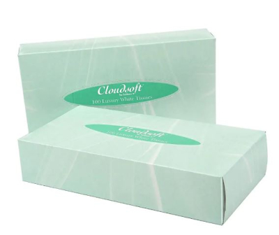 Professional Facial Tissue 24 boxes x 100 tissues