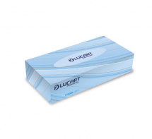 Lucart Professional Facial Tissue (24 Boxes x 100 Tissues)